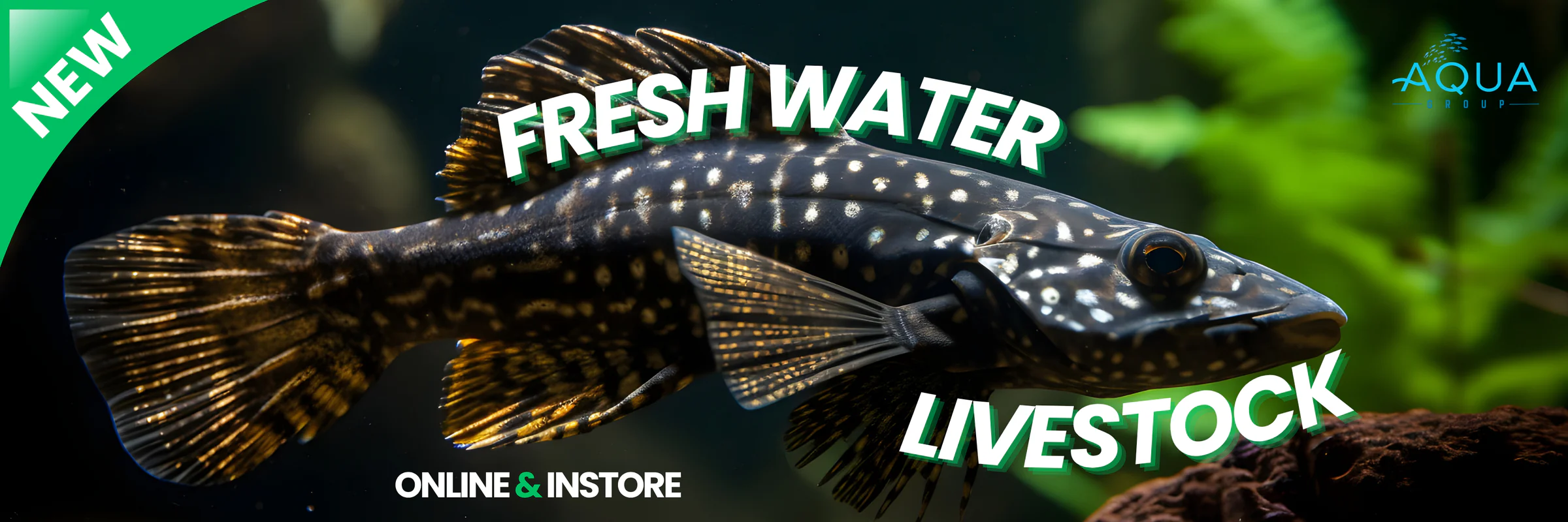 Exotic Life for Every Habitat