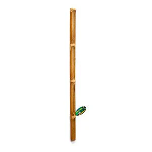 Lucky Reptile Bamboo Stick Ï - Medium