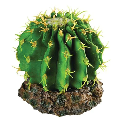 Cactus with Rock Base 10x10x8cm