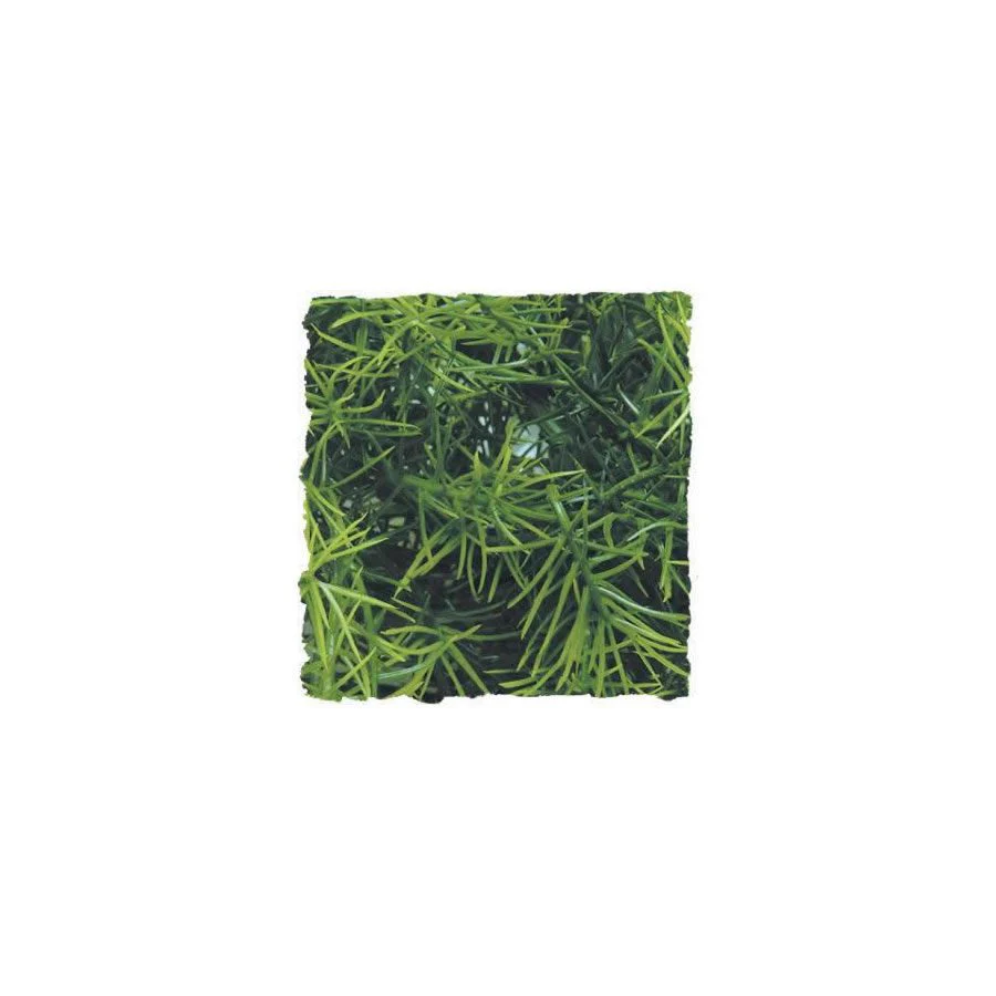 Zoo-Med Cashuarina - Medium