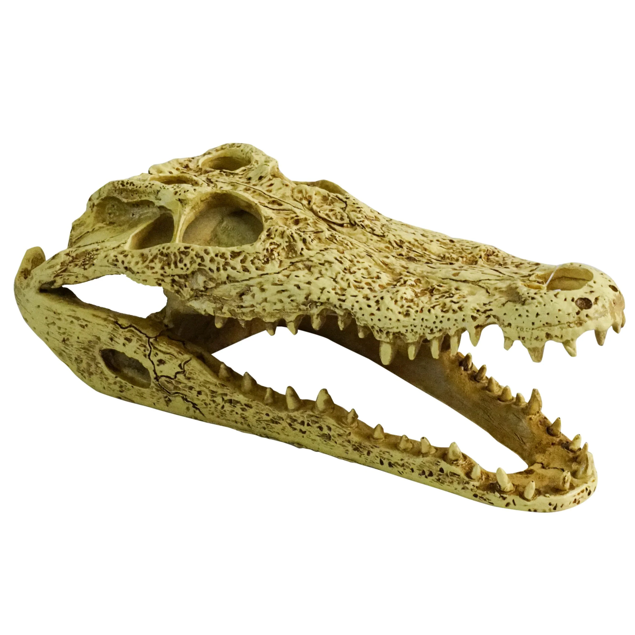 ProRep Crocodile Skull 24×11.5x9cm