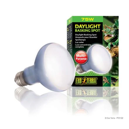 Exo-Terra Daylight Basking Spot 75W
