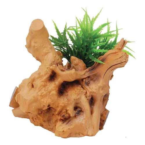 Driftwood with Plant 10 x 9 x 11cm