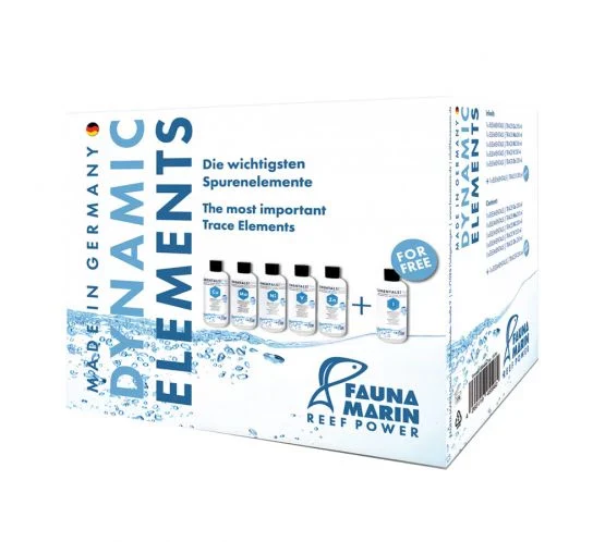Dynamic Elements