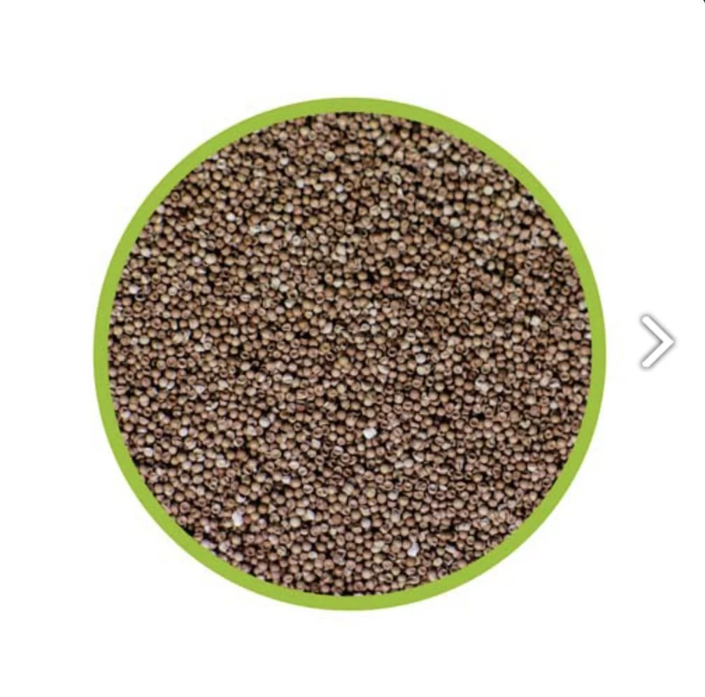 Hobby - Artemia Brine Shrimp Eggs Breeder Hatchery - Image 4