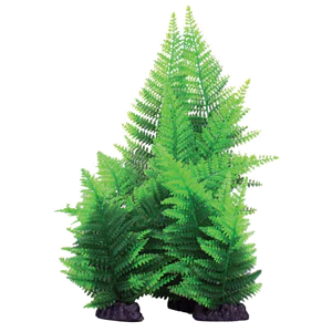 Hugo Kamishi Broad Leaf Fern Green Aquarium Plant 13cm
