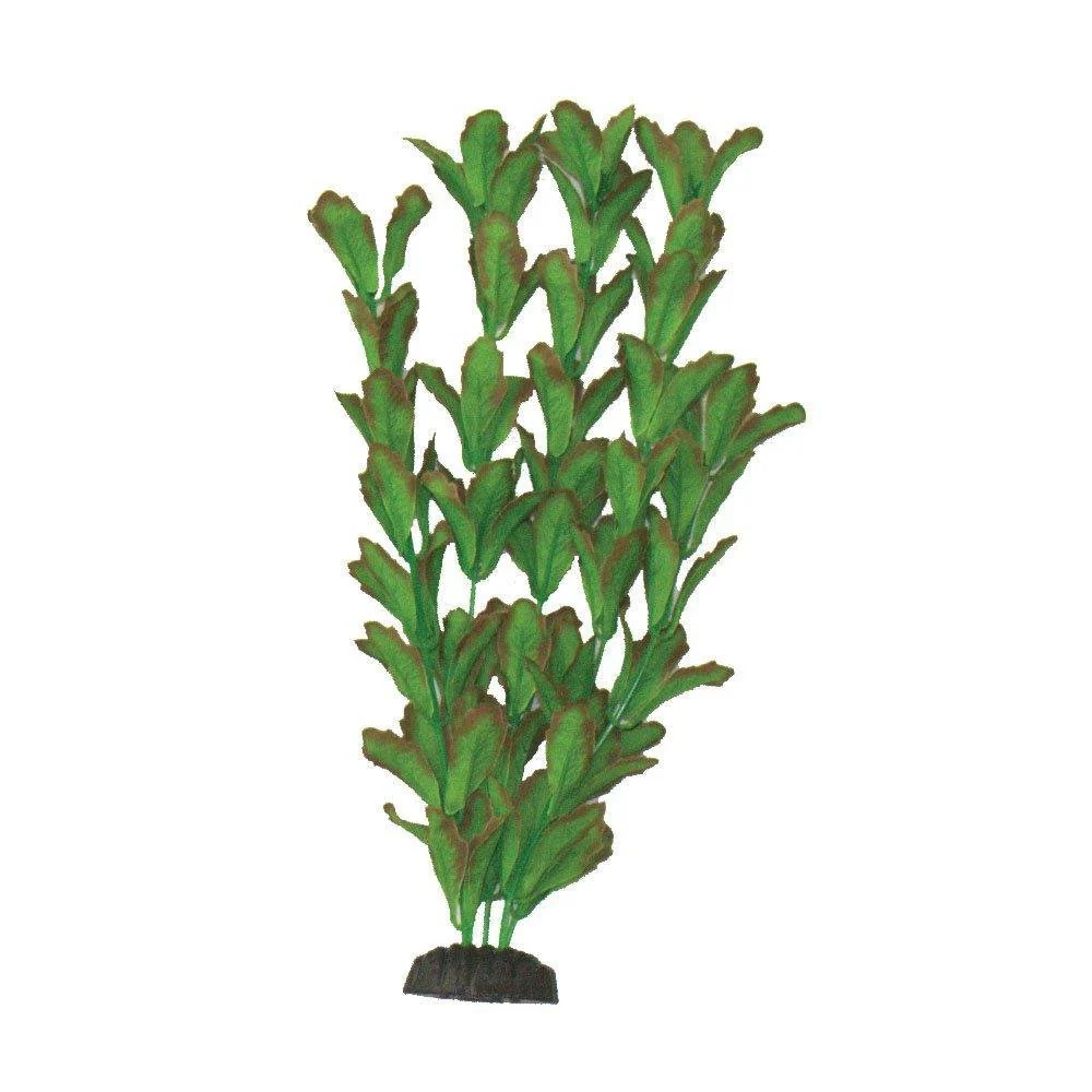 Hugo Kamishi - Rotundifolia Silk Aquascaping Aquarium Plants - Image 3