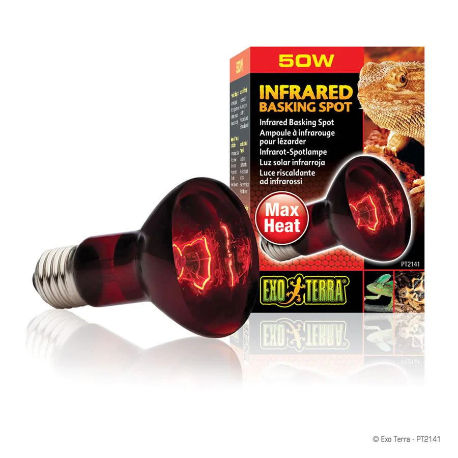 Exo-Terra Infrared Basking Spot 50W