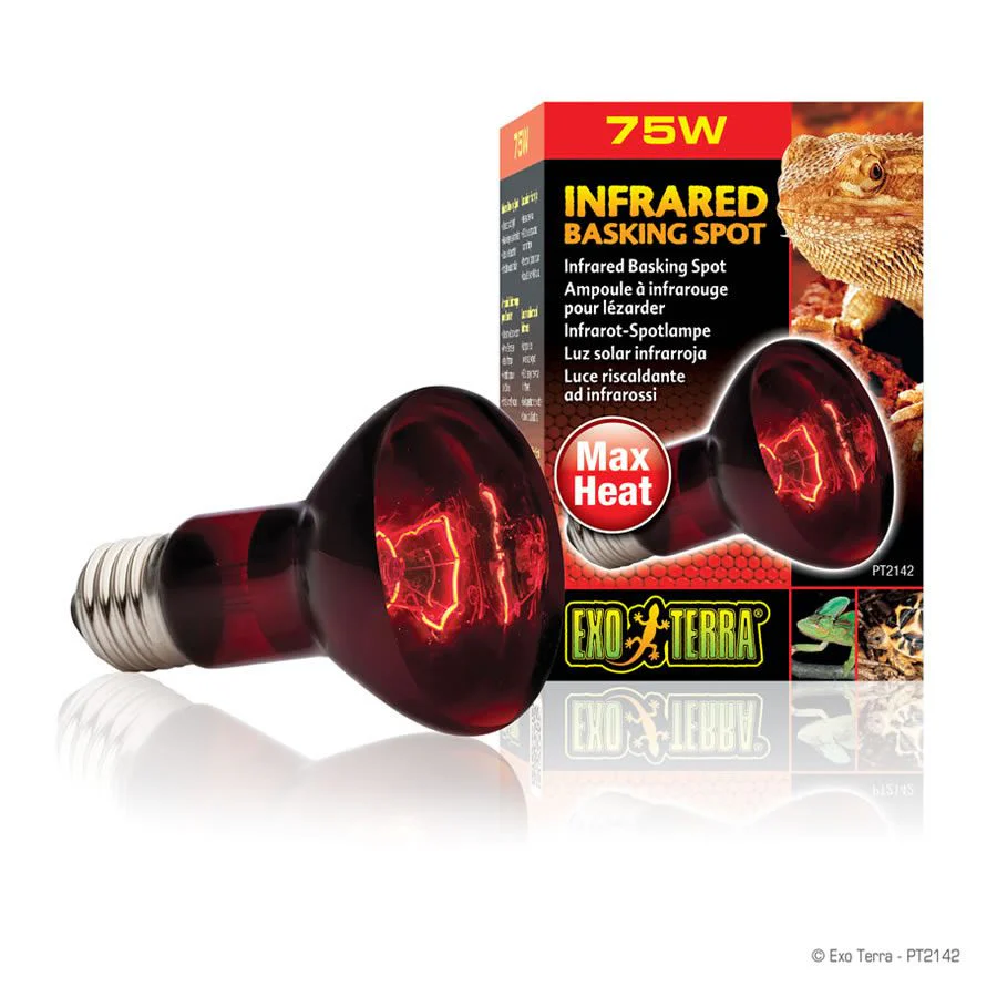 Exo-Terra Infrared Basking Spot 75W