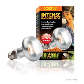 Exo-Terra Intense Basking Spot 100W