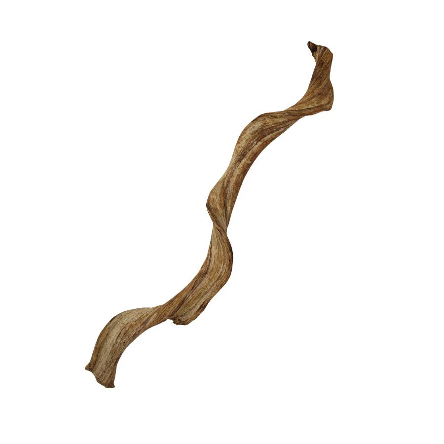 ProRep Natural Frankenstein Liana Vine - 60cm