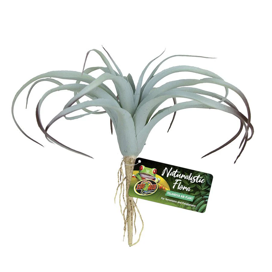Zoo-Med Naturalistic Flora Tillandsia Air Plant