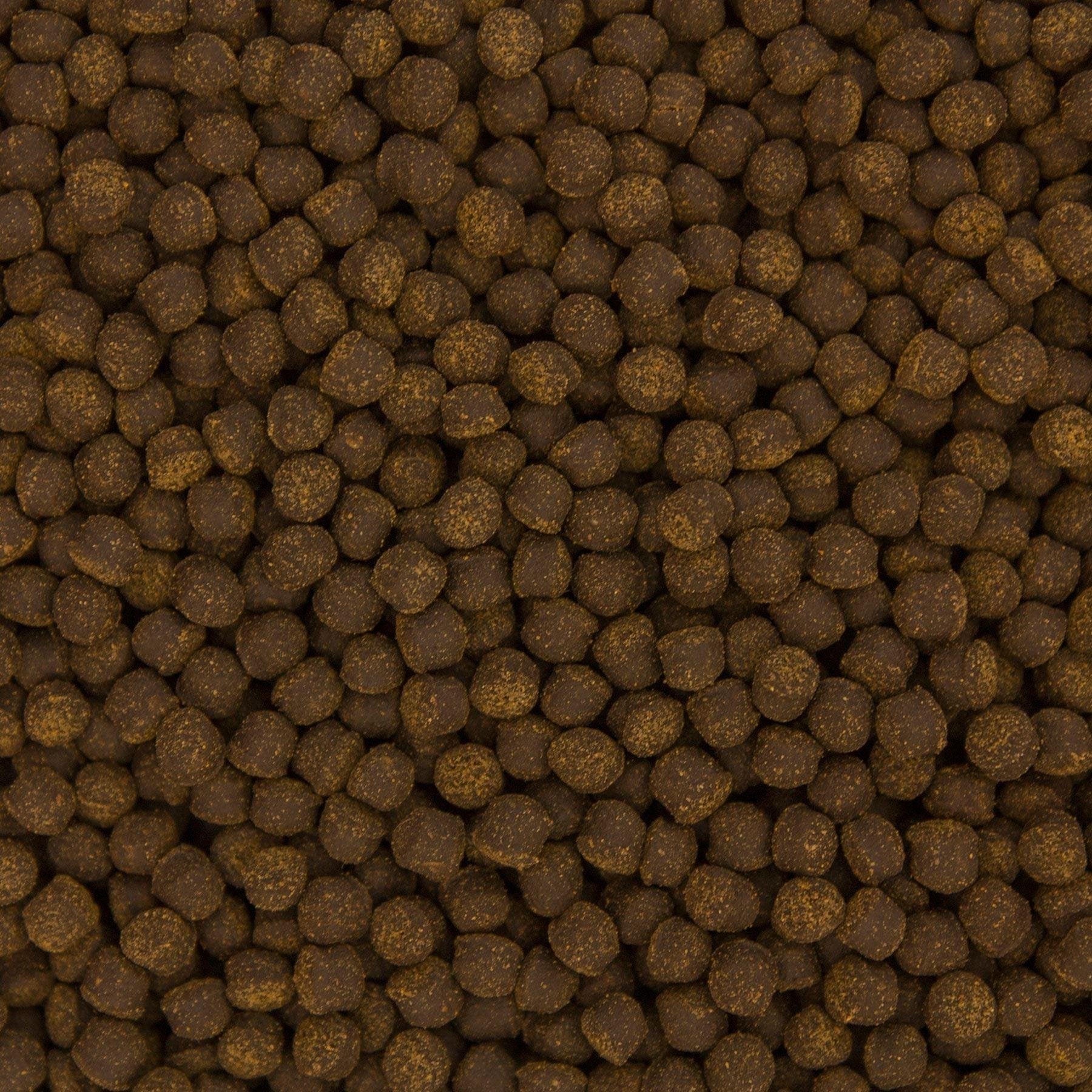 Ocean Nutrition Cichlid Omni Freshwater Pellet Medium 200g - Image 2