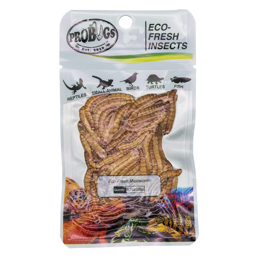 ProBugs Eco Fresh Mealworm, 20g