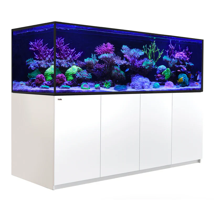Red Sea REEFER S-1000 G3 - Image 2