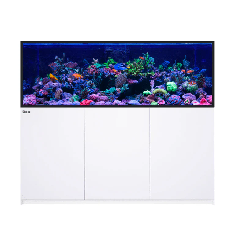 Red Sea REEFER S-850 G3 - Image 2