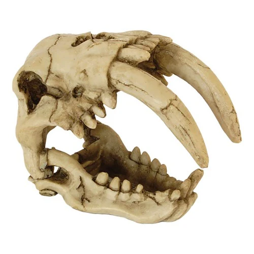RepStyle Skull Saber Tooth Tiger 15.5Γ8.5Γ11.5cm
