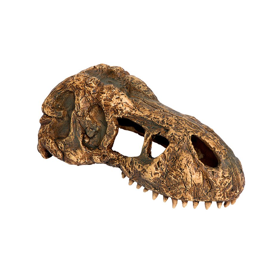 Exo-Terra T-Rex Skull - Small