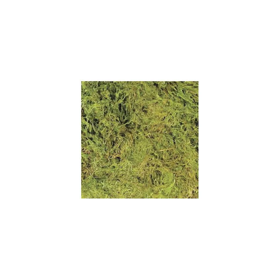 Zoo-Med Terrarium Moss - Large