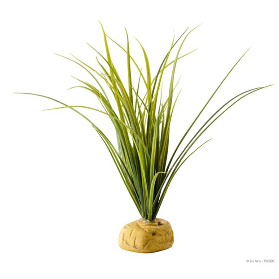 Exo-Terra Turtle Grass
