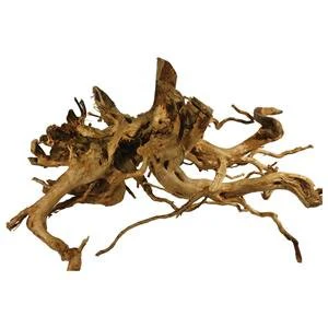 Desert Fingerwood 20-30cm Single Piece